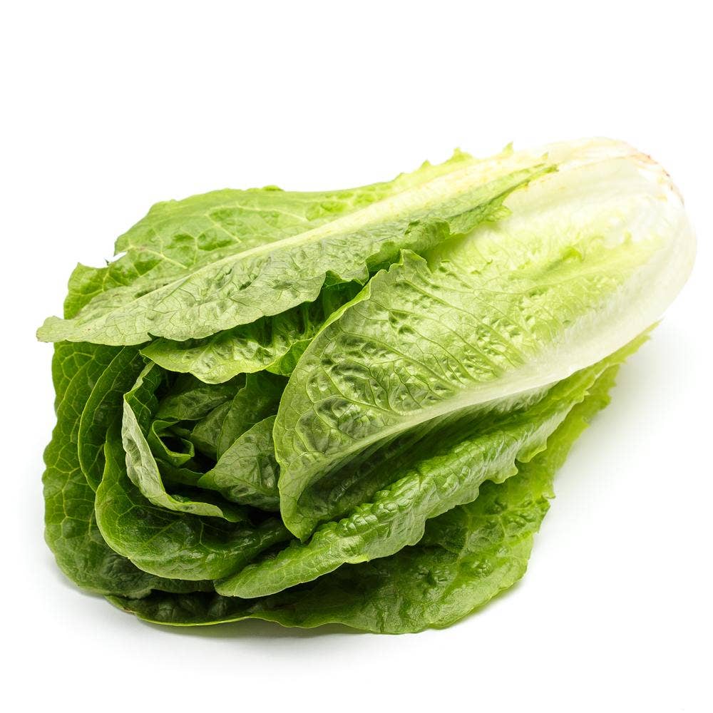 Romansallad Stor Klass1 Spain