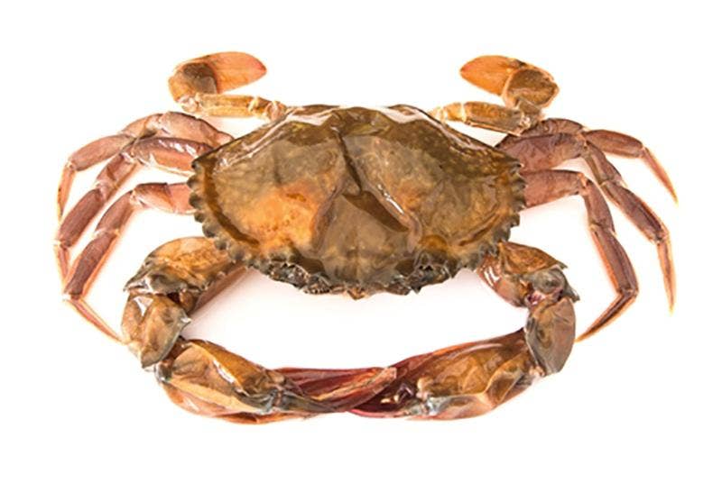 Meranus Krabba Soft Shell Fryst