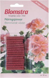 Blomstra Näringspinnar Blommande Växter