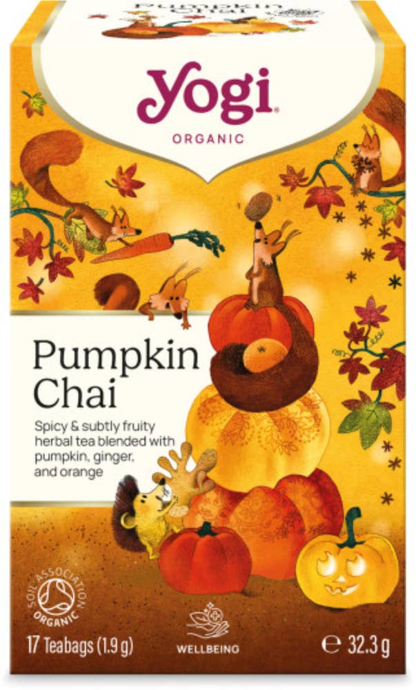 Yogi Tea Tea Pumpkin Chai