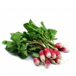 Rädisa Vittoppig Klass1 Nederländerna