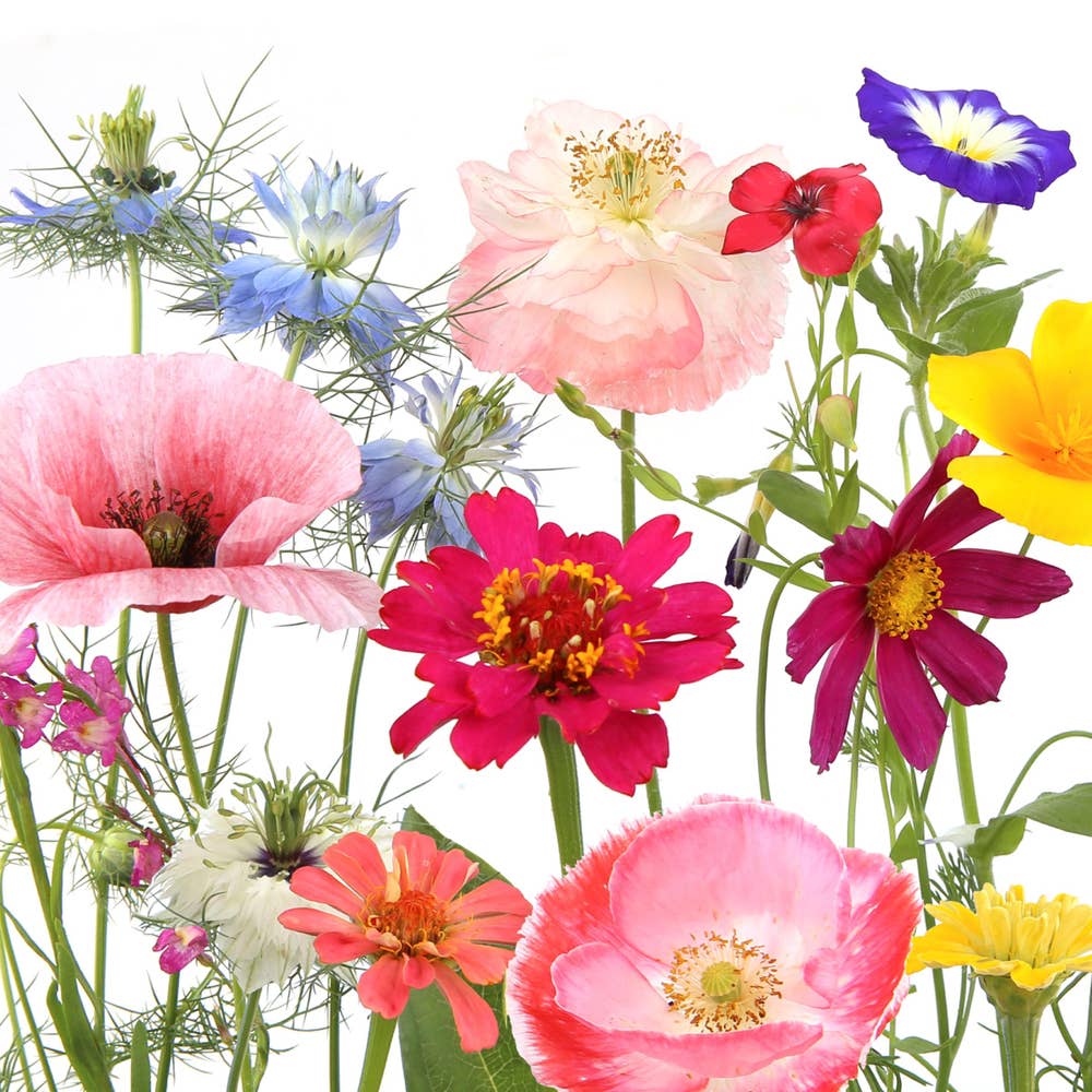 Duni Servett Wildflower Garden 3-lags 33x33cm