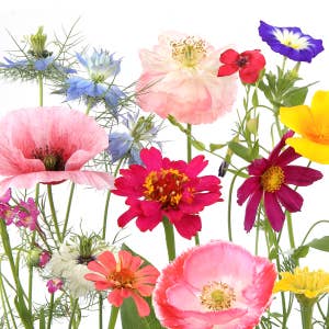 Duni Servett Wildflower Garden 3-lags 33x33cm