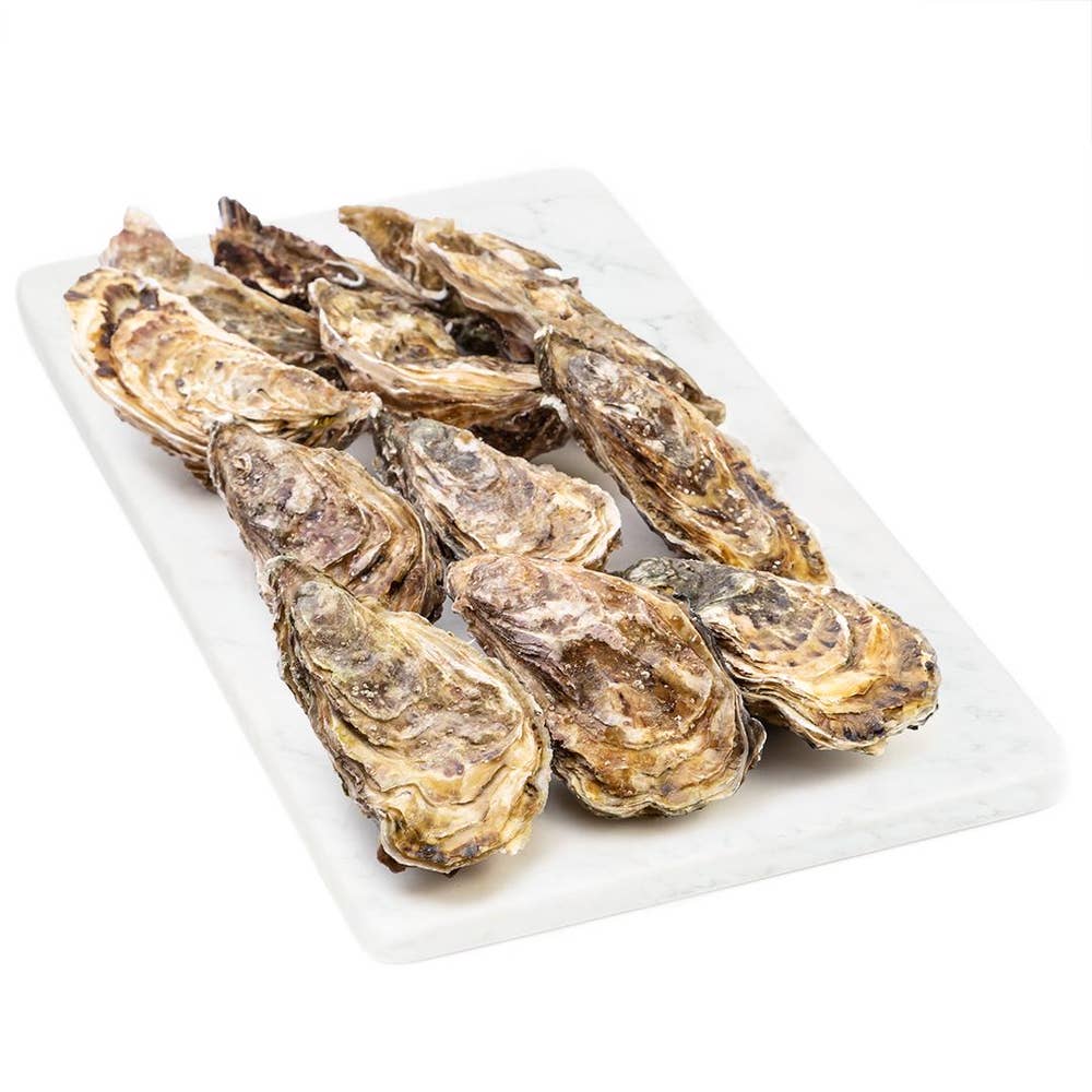 Chironfils Ostron Fine De Claire No3 Bergfalk