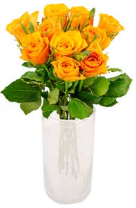 Mimea AS Rosor orange 10-pack Kenya