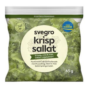 Svegro Krispsallat Stadsodlad Klass1 Sverige