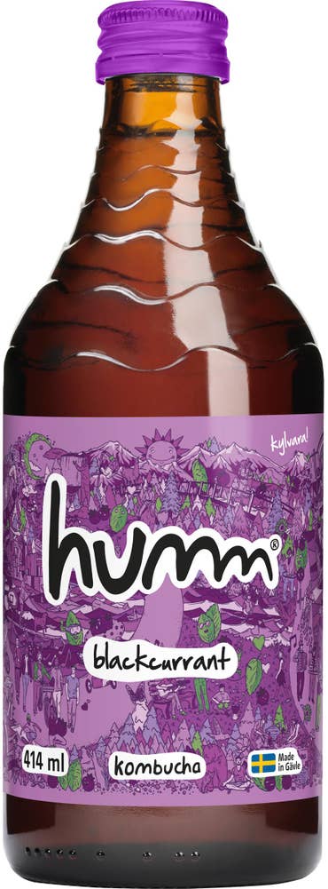 Humm Kombucha Svartvinbär EKO