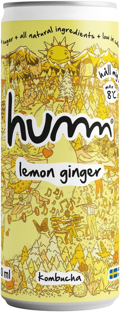 Humm Kombucha Citron & Ingefära 0,5%