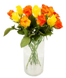 Mimea AS Rosor varmmix 12-pack 35 cm Kenya