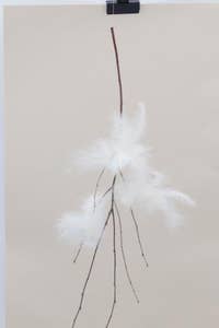 Hedlundgruppen Fjäderblomma Beige