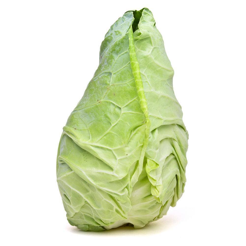 Spetskål Klass1 Spanien