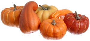 Hedlundgruppen Pumpor Orange 8-11cm 6-p