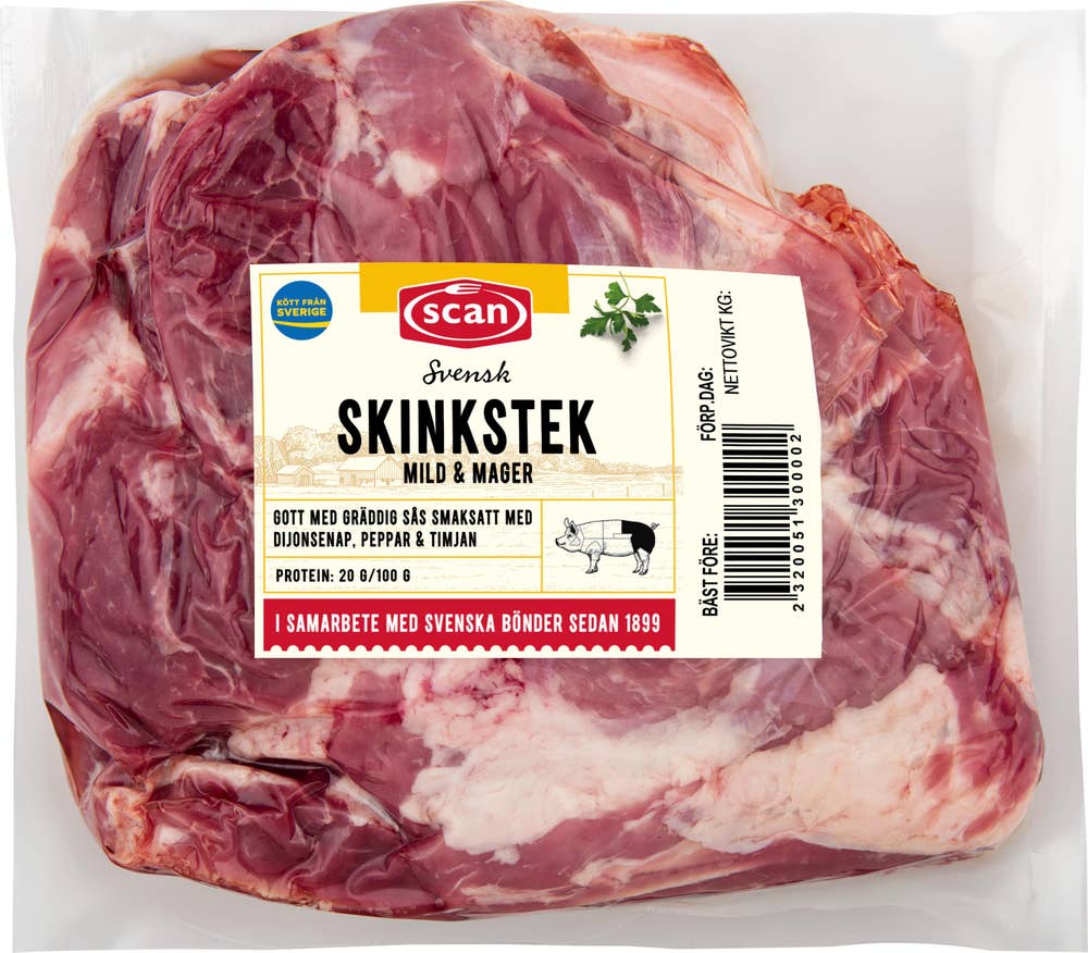 Scan Skinkstek
