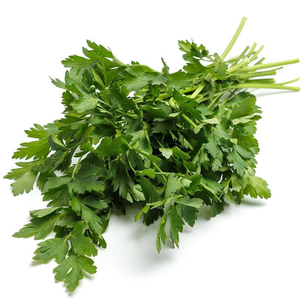 Bladpersilja knippe flow Klass1 Spanien