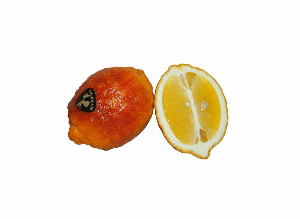 Citron Röd Klass1 Spanien