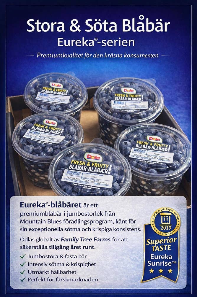 Blåbär i hink Klass1 Polen