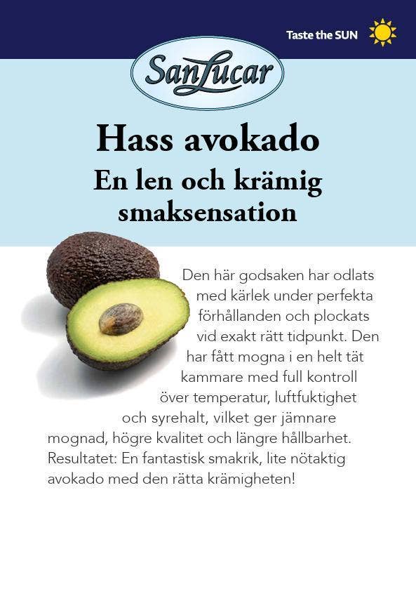 Avokado Premium San Lucar Klass1 Chile