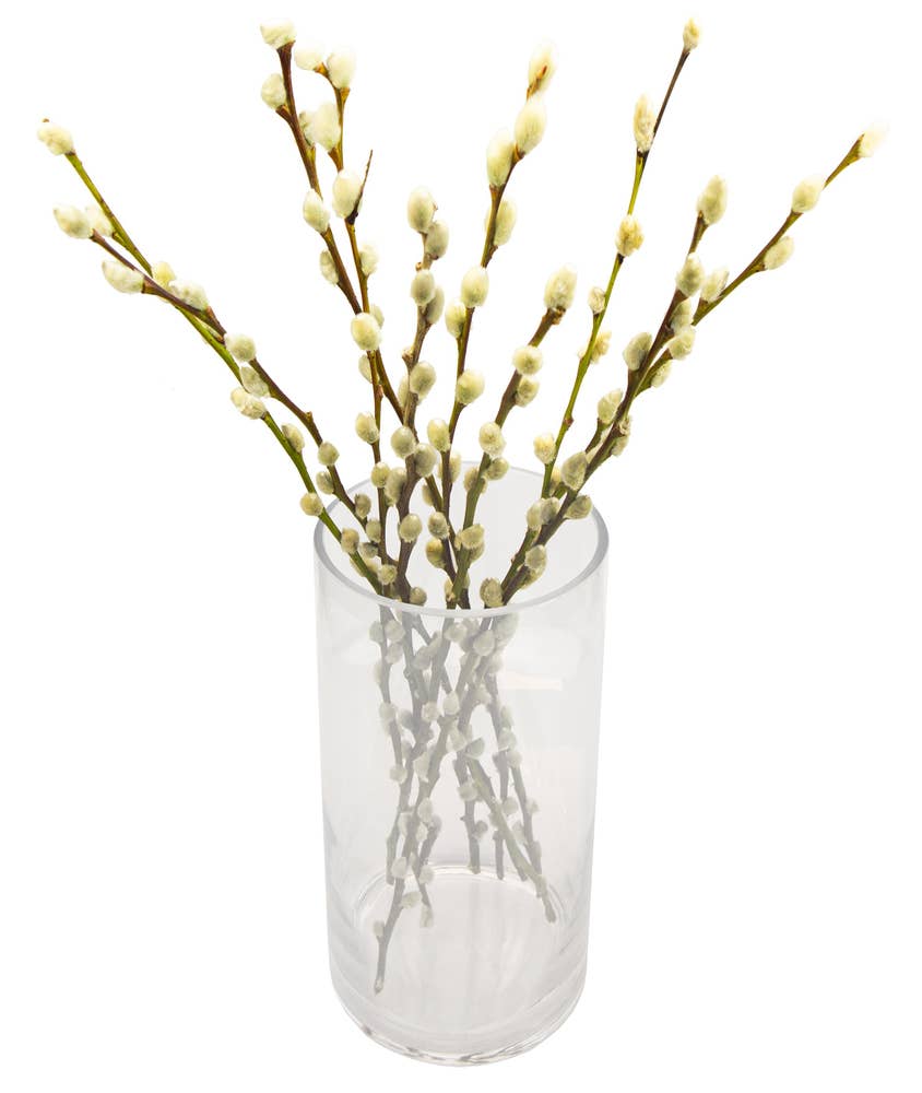 Mimea AS Videkvistar