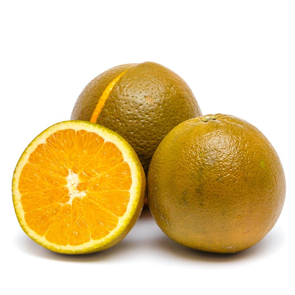 Apelsin Choklad "Navel" Klass1 Spanien