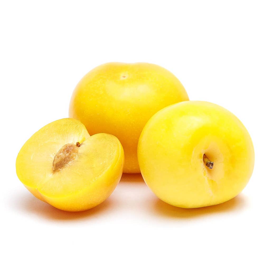 Plommon Gula Klass1 Spanien