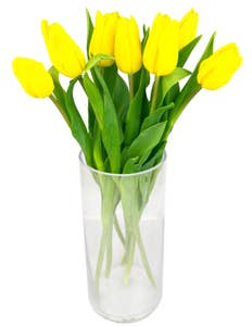 Mimea AS Tulpaner Gula 9-p Sverige