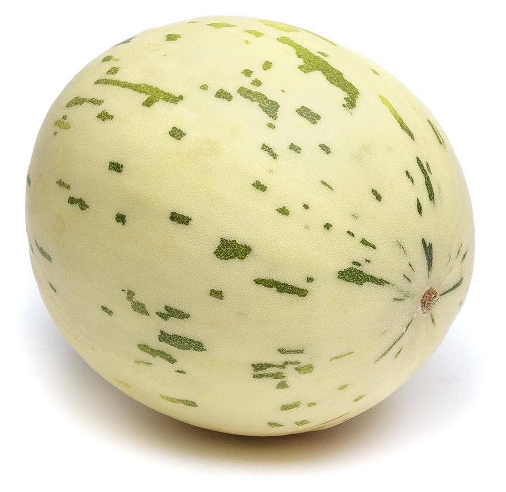 Melon Snowball Klass1 Brazil