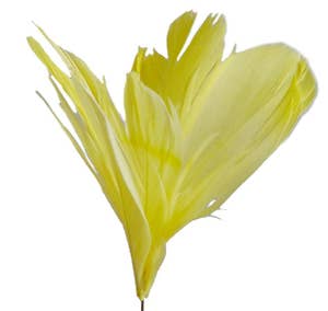 Hedlundgruppen Fjäderblomma Gul 10cm