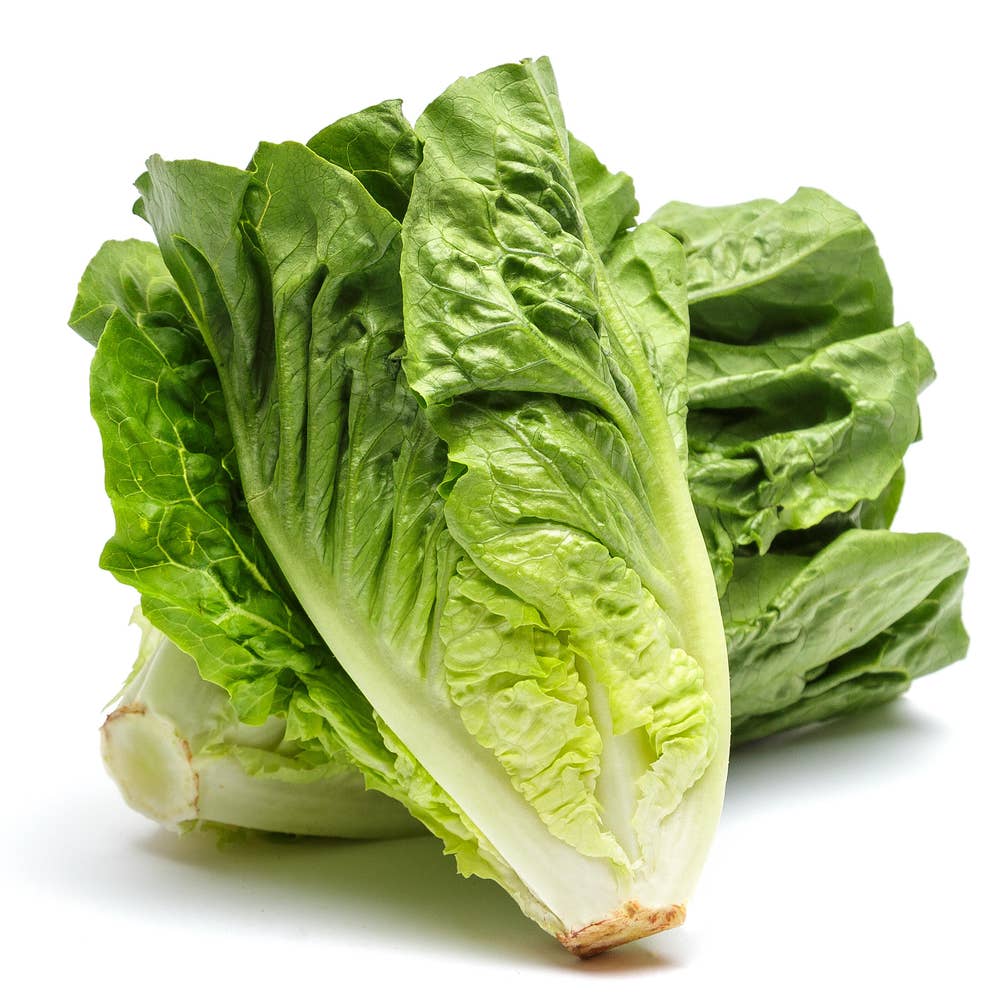Romansallad Klass1 Sweden