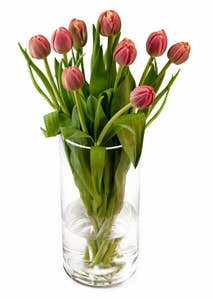 Mimea AS Tulpaner Rosa 9-p Sverige