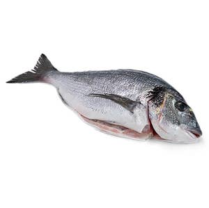 Bergfalk Guldsparid Fjällad & Urtagen Bergfalk