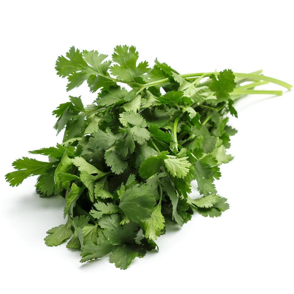 Koriander flowpack Klass1 Spanien