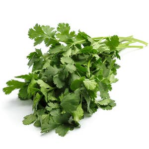 Koriander flowpack Klass1 Spanien