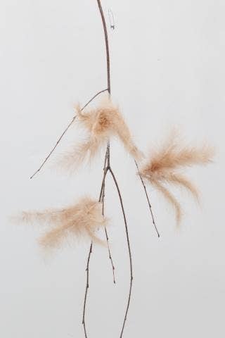 Hedlundgruppen Fjäderblomma Brun