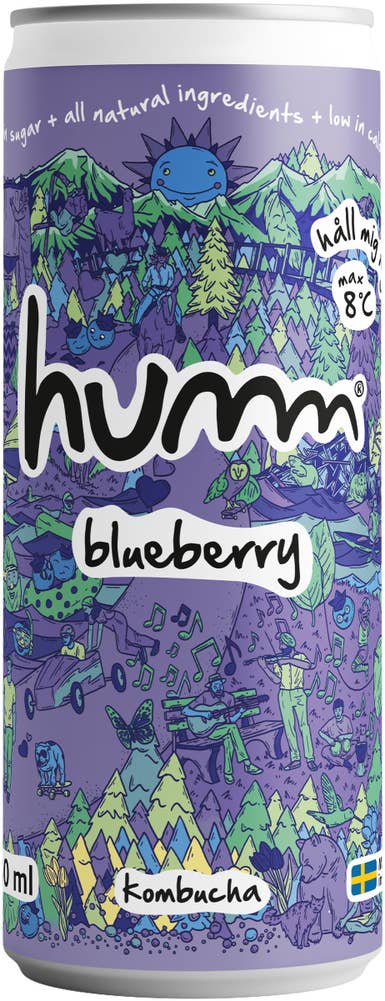 Humm Kombucha Blåbär 0,5%