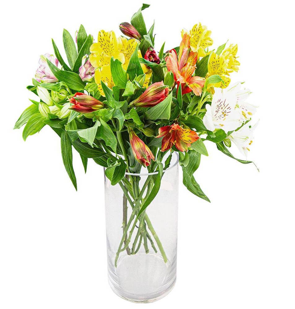 Mimea AS Alstroemeria mixbukett