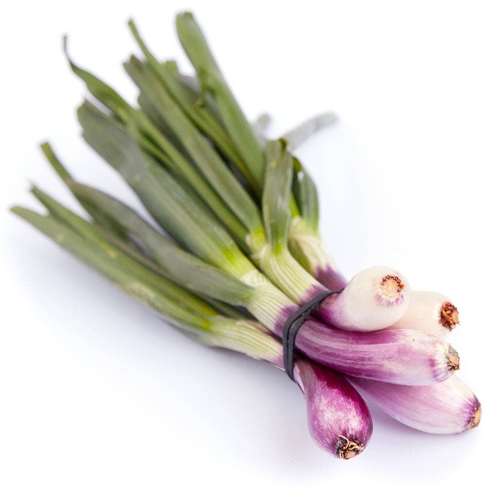 Lök Röd i Knippe Klass1 Italien