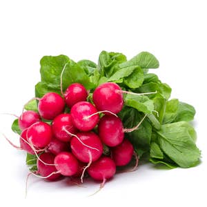 Rädisa Knippe Klass1 Nederländerna