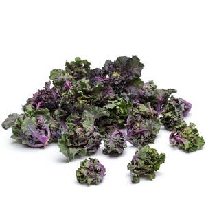 Flowersprouts "Rosettkål" Klass1 Belgien