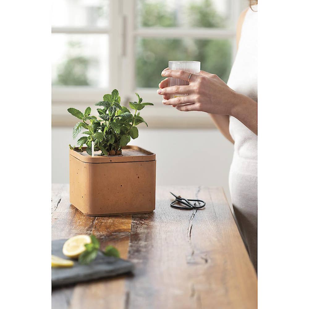 Keter Hydroponisk Odlingskruka Plast Keter