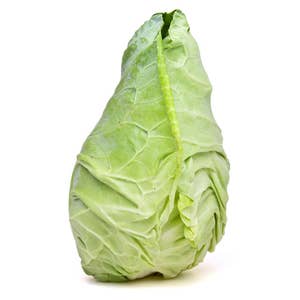 Spetskål Klass1 Nederländerna