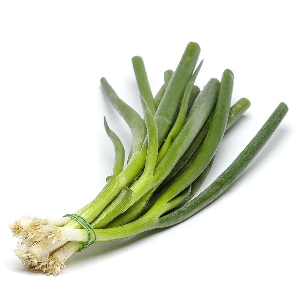 Salladslök Klass1 Marocko