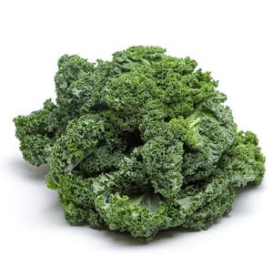 Grönkål Klass1 Nederländerna