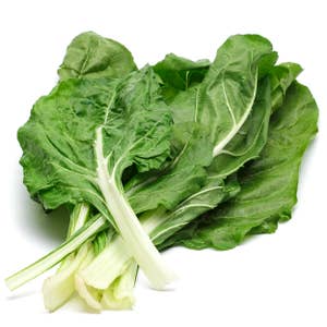 Mangold bunt Klass1 Spanien