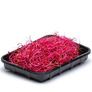 Rödbetsgroddar EKO/KRAV Klass1 Sverige