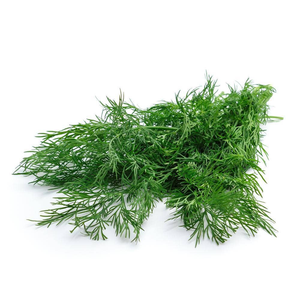 Dill flow Klass1 Spanien