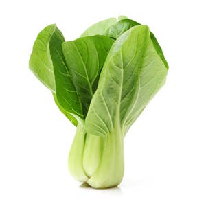 Pak Choi Klass1