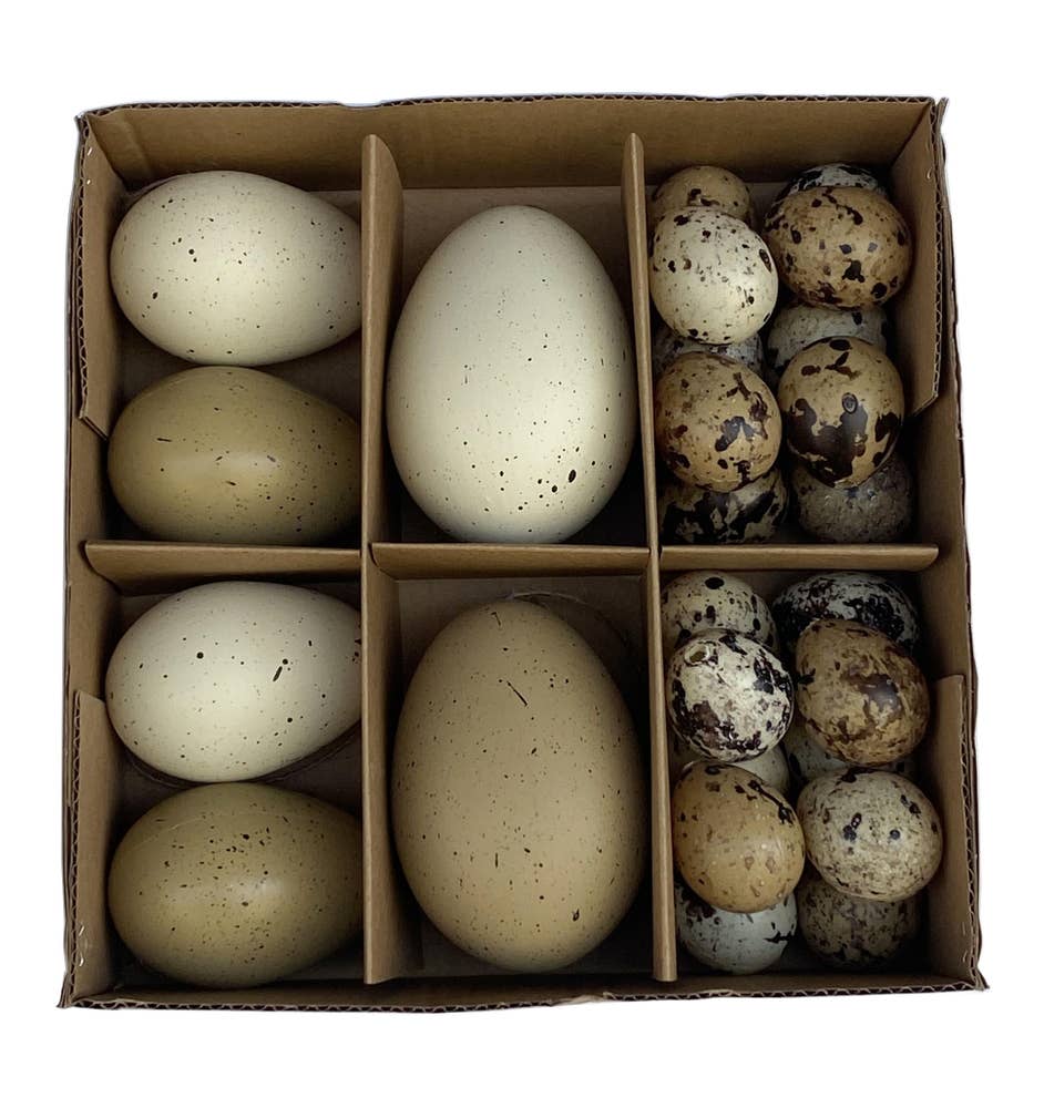 Hedlundgruppen Hänge Ägg Beige, Brun & Vit 3,5-8cm