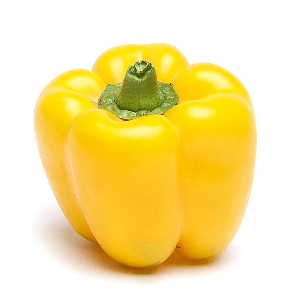 Paprika Gul Klass1 Nederländerna