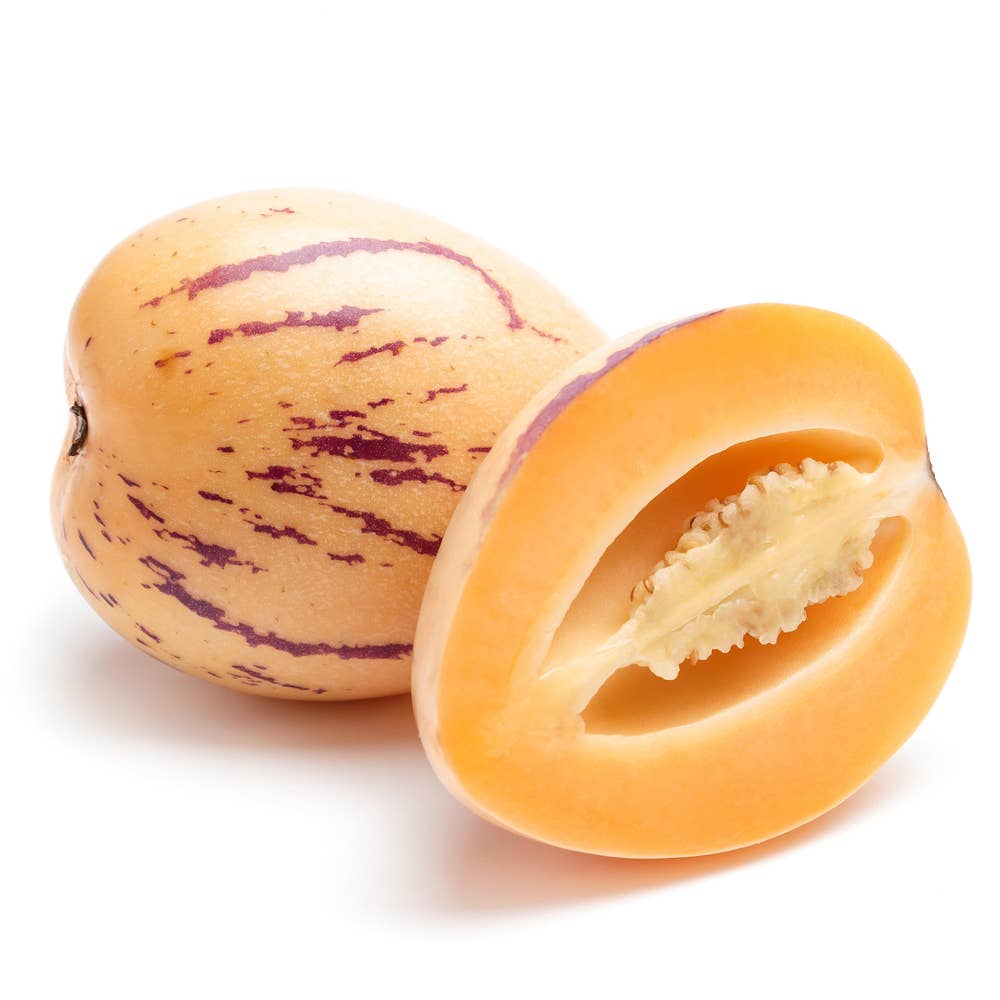 Pepino Klass1 Ecuador