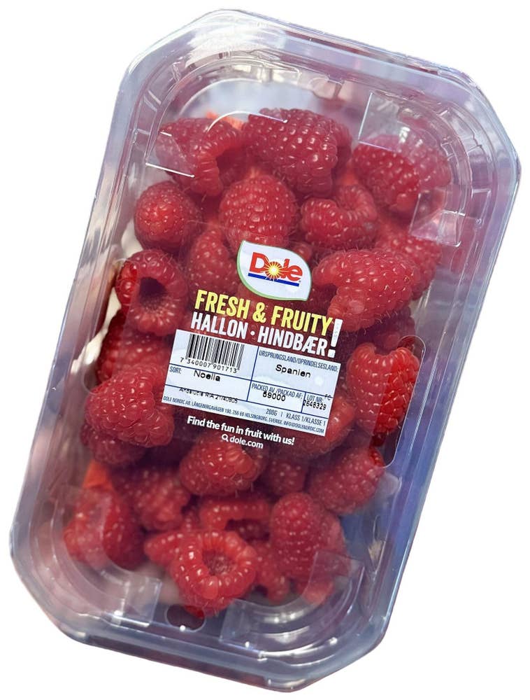 Hallon Klass1 Spanien